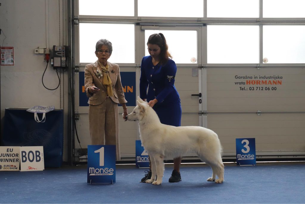 Entre Ciel Et Terre - Koumi Vice Championne d'Europe