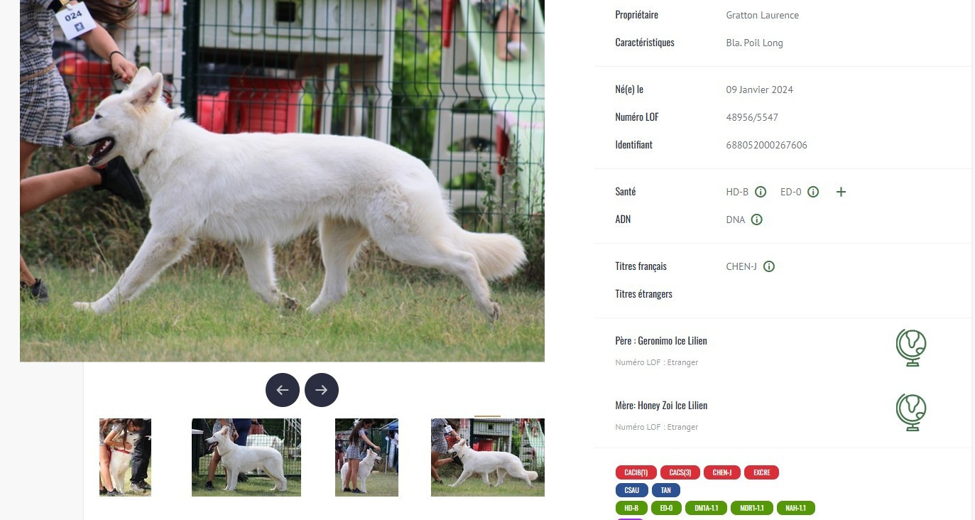 Ketsia Championne jeune des Expositions Nationales, c'est officiel !