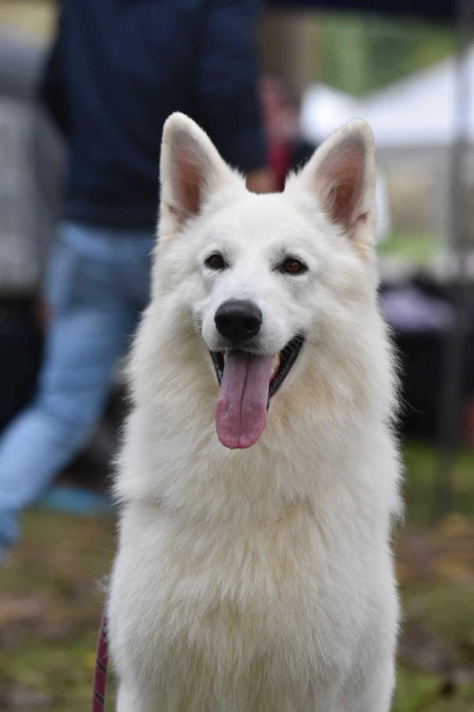 Mariage consommé entre Raquel & Noctis