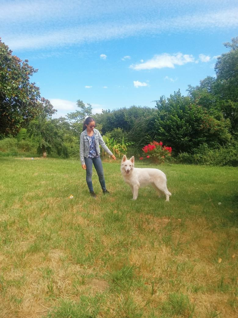 Super mariage entre Taïko & Ketsia: réservations ouvertes