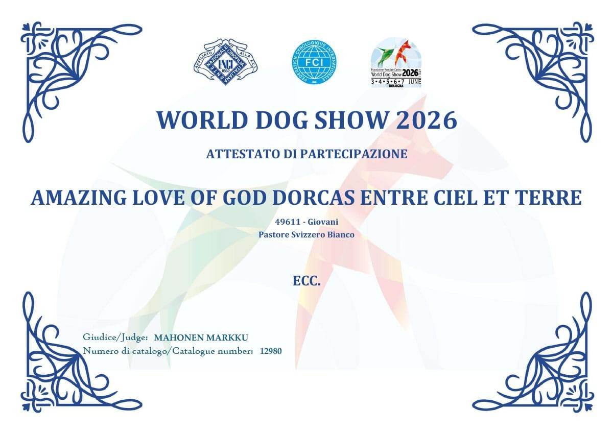 Dorcas 5ème au World Dog Show 2026