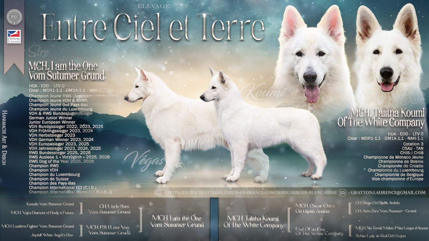 Mariage entre notre belle Koumi & le magnifique I AM THE ONE VOM SUTUMER GRUND