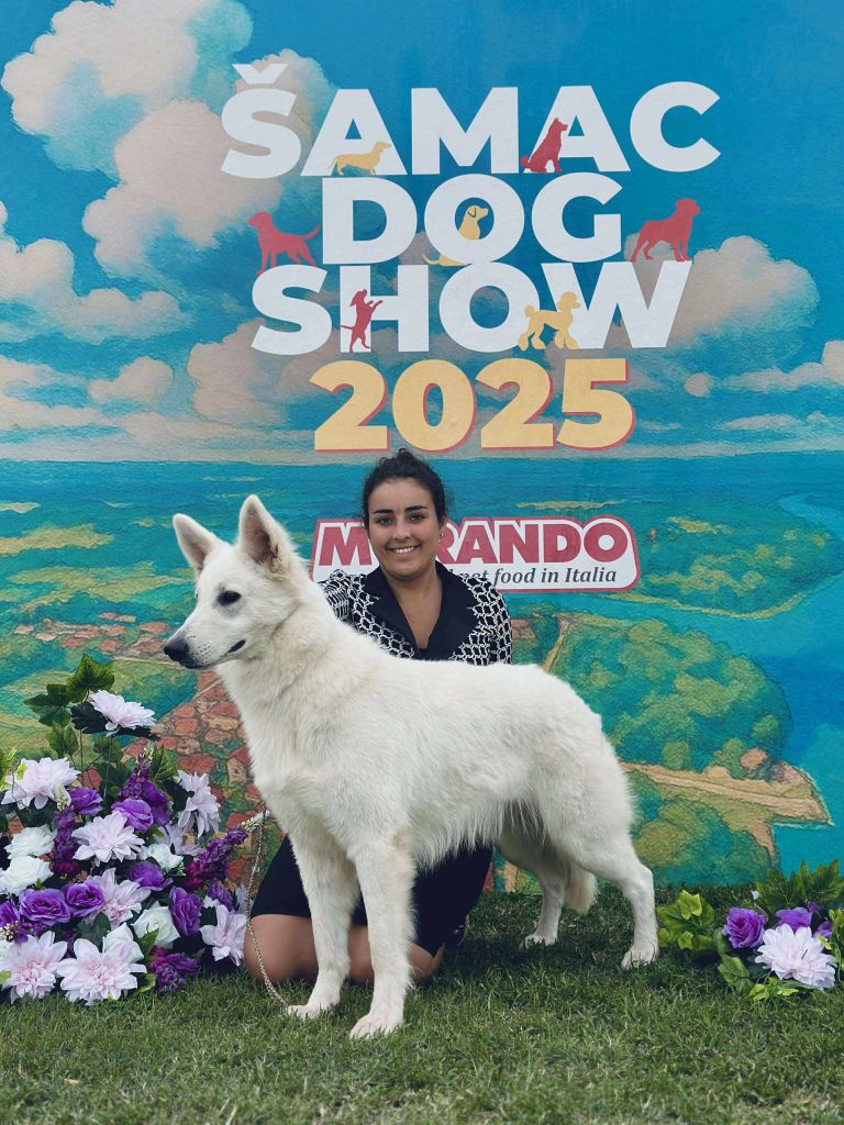 Raquel Championne de Bosnie